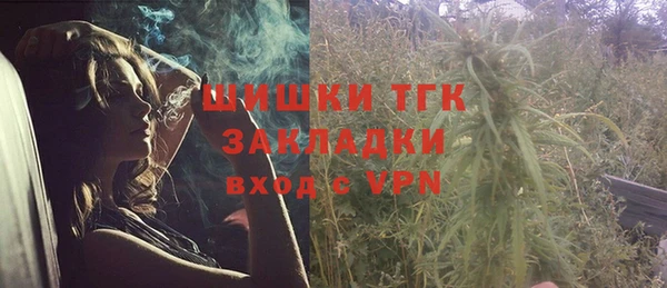 круглые Аркадак